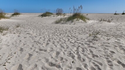 Beach sand with sea oats growing on South Carolina coastal shoreline at Pawleys Island, SC destination for tourist for relaxing under warm sunshine and enjoying quiet beach walks by the ocean