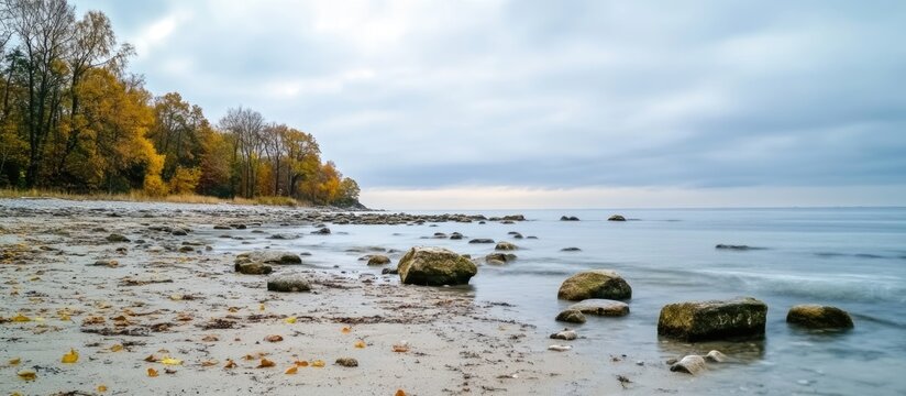 Autumn landscape with rocky beach shoreline under cloudy sky and calm ocean water with scattered pebbles and distant tree line Copy Space