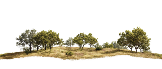 A picturesque scene depicting several trees on a gently sloping grassy hill against a black background.