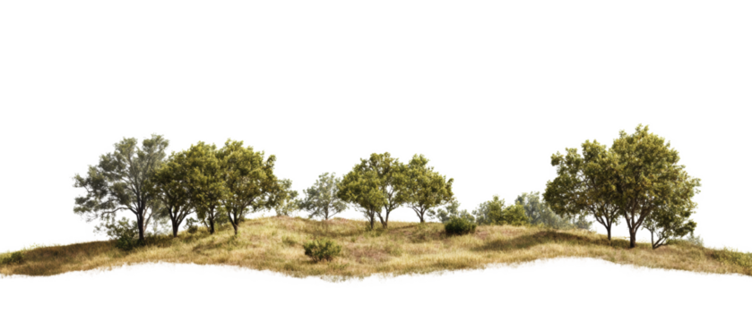 A picturesque scene depicting several trees on a gently sloping grassy hill against a black background.