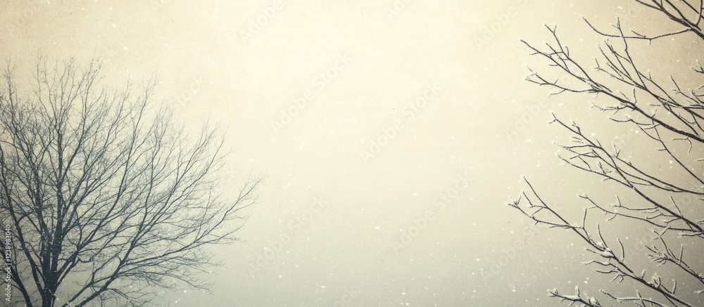 Poster winter landscape with bare trees snowflakes falling on a soft gray background copy space