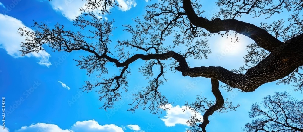 Poster lifeless tree branches silhouetted against a bright blue sky with fluffy clouds and sunlight shining