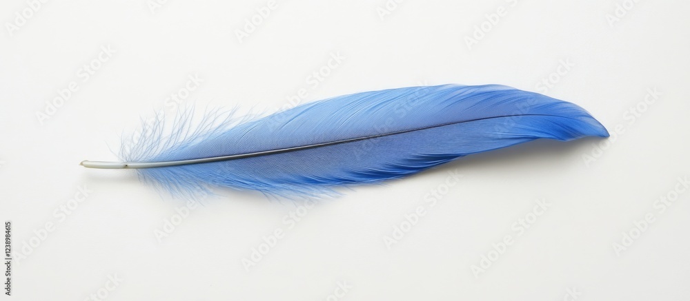Poster Blue bird feather isolated on white background with detailed texture and structure Copy Space