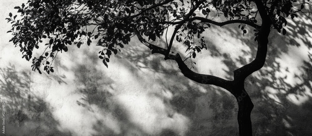 Poster Silhouette of a tree with detailed shadows creating patterns on a textured wall in black and white photography with Copy Space