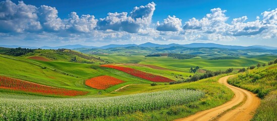 Panoramic view of vibrant green and red fields under a blue sky with clouds and a dirt road, Copy Space for text placement