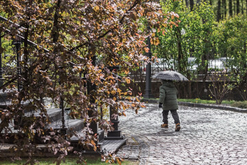 A small child of 5 years old with an umbrella in his hands during the spring rain. A spring break...