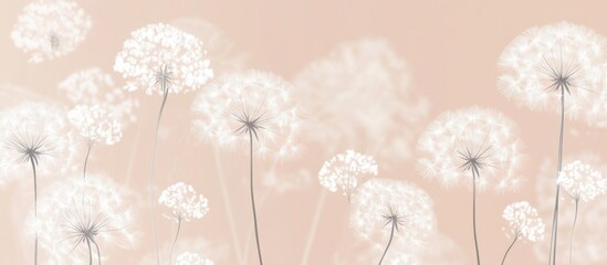 Delicate white flowers on a soft pastel background with ample copy space for text placement