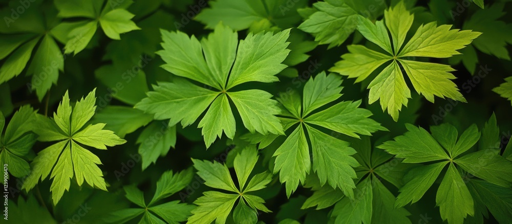 Poster green foliage background with various textured leaves and ample copy space for text placement.