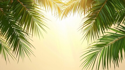 Fototapeta premium Tropical palm leaves sunlight background, summer vacation design