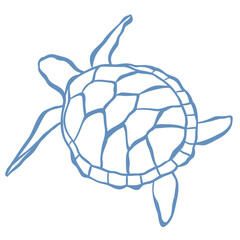 Line Art Illustration of Turtle. Vector Graphic.