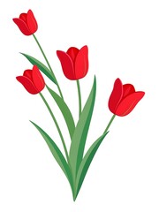 Fototapeta premium Red tulips with a green stem and long leaves, featuring four elegant blossoms with smooth petals and a graceful structure.