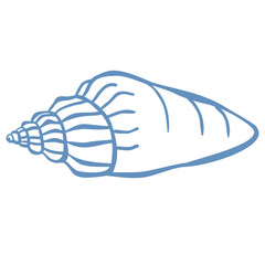 Line Art Illustration of Shell. Vector Graphic.