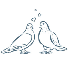Line Art Illustration of Doves. Vector Graphic.