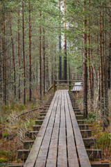 tourism pathway in the summer green park with gravel, wooden rails and trees. relaxation in nature