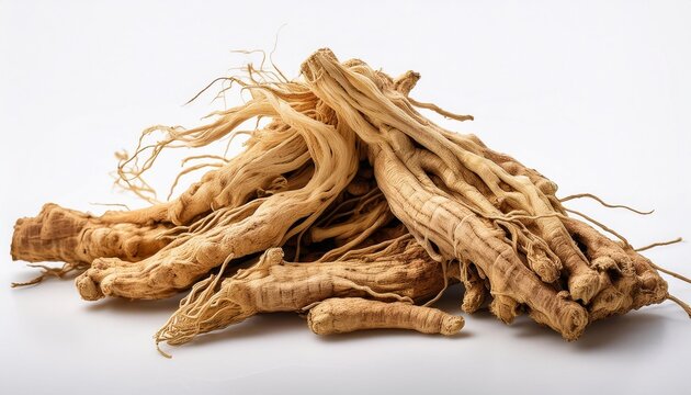 unique realistic astragalus root for immune support on white historical past