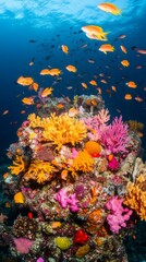 Obraz premium Vibrant Coral Reef with Colorful Fish in Tropical Ocean Waters