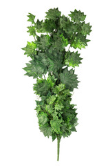 A realistic artificial maple branch adorned with vibrant green leaves, perfect for adding a touch of nature to home decor without the maintenance of real plants.