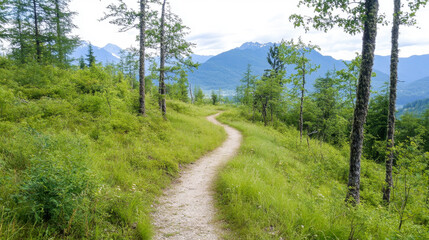 Obraz premium Serene mountain path surrounded by lush greenery and distant peaks