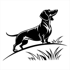 dachshund art design