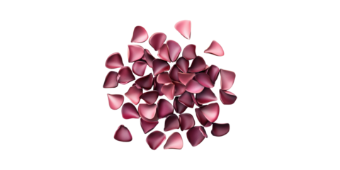 Pink and red rose petals scattered in a circle isolated on transparent background