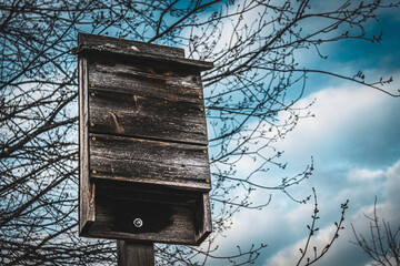 close-up of a weathered bat houseagainst a beautiful sky with tree and cloudscape in the background wildlife environment nature scene