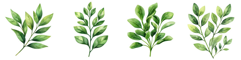 Fototapeta premium Various Green Leaves creative pieces for Nature and Design Projects