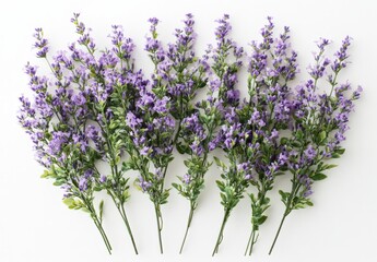 Fototapeta premium Purple flowers with green leaves on a white background