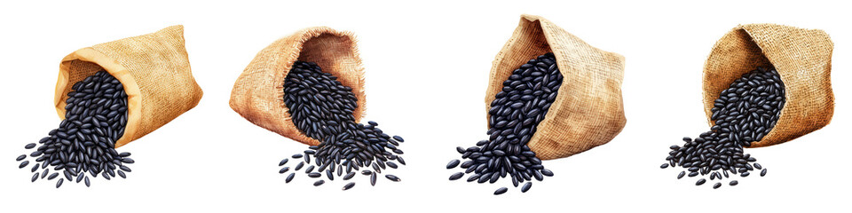 Obraz premium Bags of Black Seeds Spilling on White Background Ideal for Food Themes