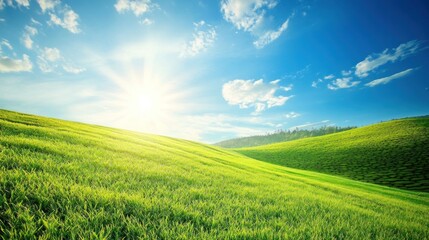 Fototapeta premium Rolling Green Hills Under a Sunny Blue Sky