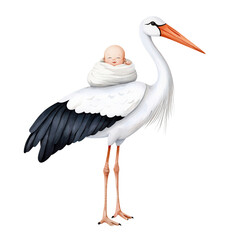 Stork Carrying Baby in Blanket with White Feathers and Orange Beak