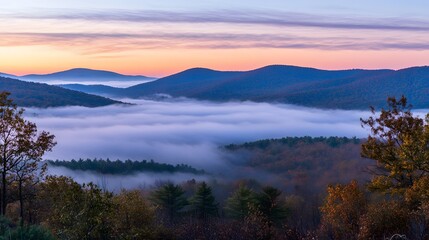 Fototapeta premium Serene landscape at dawn, tranquil mist hovering over valley, vibrant colors in sky, perfect for peaceful reflection.