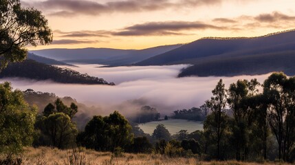 Misty sunrise over serene valley, tranquil landscape with fog rolling through hills, ideal for nature themes or relaxation.