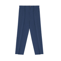 Navy chinos pants front view on isolated on white background. Classic casual mens trousers.
