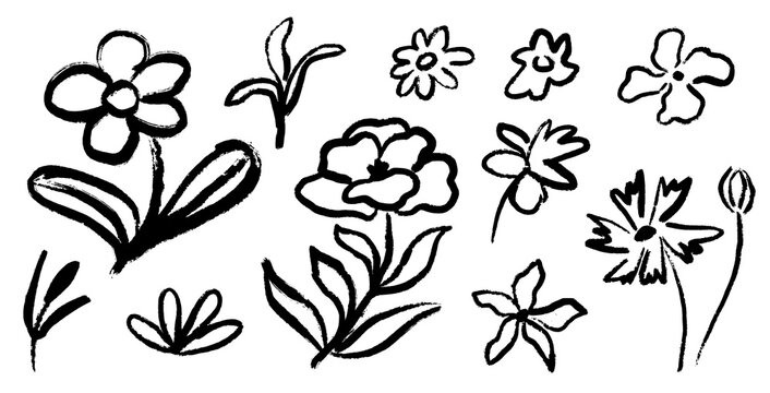 Simple linear flowers on isolated background. Hand drawn botanical illustrations. Doodle flowers and leaves cliparts. Ink drawing wild plants and herbs