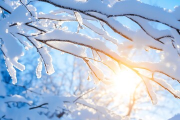 Winter Sunlight Through Snow Laden Branches - Serene winter scene, sunlight filters through snow-covered branches, symbolizing peace, tranquility, hope, beauty, and the passage of time.