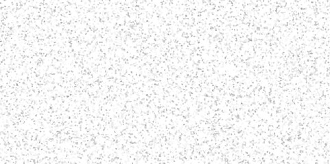 Polished Rock/Stone Chips, Vintage Quartz Terrazzo Flooring. Seamless White wall and floor texture terrazzo flooring texture. Silver Explosion of Confetti. Quartz surf bathroom or kitchen.