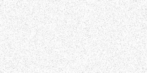 Polished Rock/Stone Chips, Vintage Quartz Terrazzo Flooring. Seamless White wall and floor texture terrazzo flooring texture. Silver Explosion of Confetti. Quartz surf bathroom or kitchen.