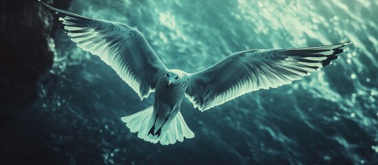 Fototapeta premium Majestic Seagull in Flight Over Teal Waters