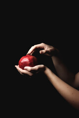 Elegant hands grasping vivid red pomegranate, showcasing rich color contrast against shadowy minimalist backdrop book cover copy space