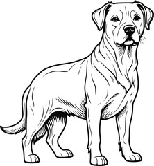 black and white dog  silhouette 