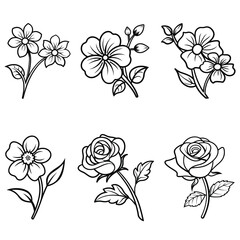 set of flowers line art floral vector illustration coloring page black and white 
