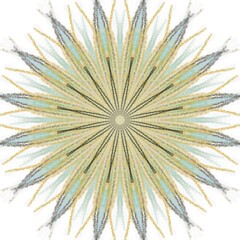 Naklejka premium Dark Paint Brushes Round mandalas in vector.Abstract design element.Decorative retro ornament.Graphic template for your design.Hand Drawn Mandala.Radiant Peaceful Petals book.Art on the wall.