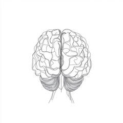 Intricate illustration of a human brain showcasing detailed neural structures and pathways in monochrome design