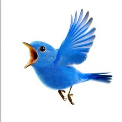 Obraz premium Vibrant Blue Bird in Mid-Flight with Open Beak and Outstretched Wings