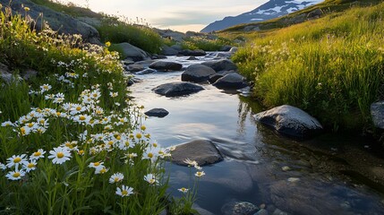 Serene riverside scene, lush green grass and vibrant wildflowers surrounding a calm stream reflecting the sky.