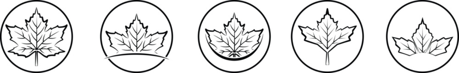 Set of flat maple leaf-shaped icons isolated on white background vector illustration. Canadian maple leaf icon set. Forest and wood signs symbol.