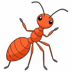 ant isolated on white