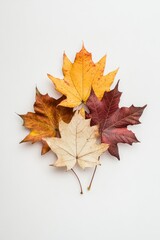 Autumn Leaves Canadian Flag