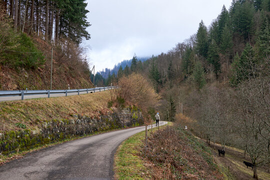 Scenic Mountain Road with Traditional Houses and Red Roofs in Black Forest Valley Landscape. Winding Rural Highway Through Alpine Village with White Buildings and Green Forest Hills Under Cloudy Sky.