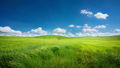 Obraz premium green meadow under blue sky